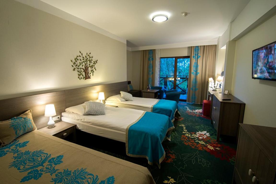 Europa - Gornicza Strzecha Hotel 3*