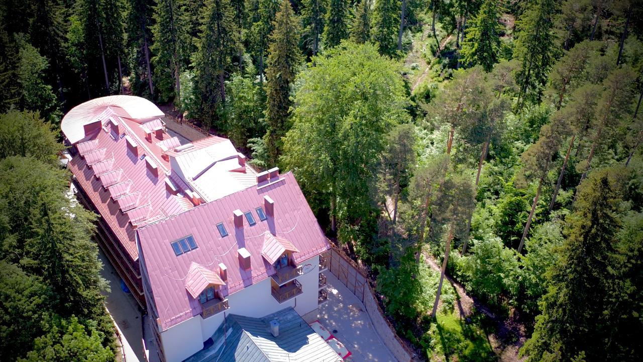 Europa - Gornicza Strzecha 3*