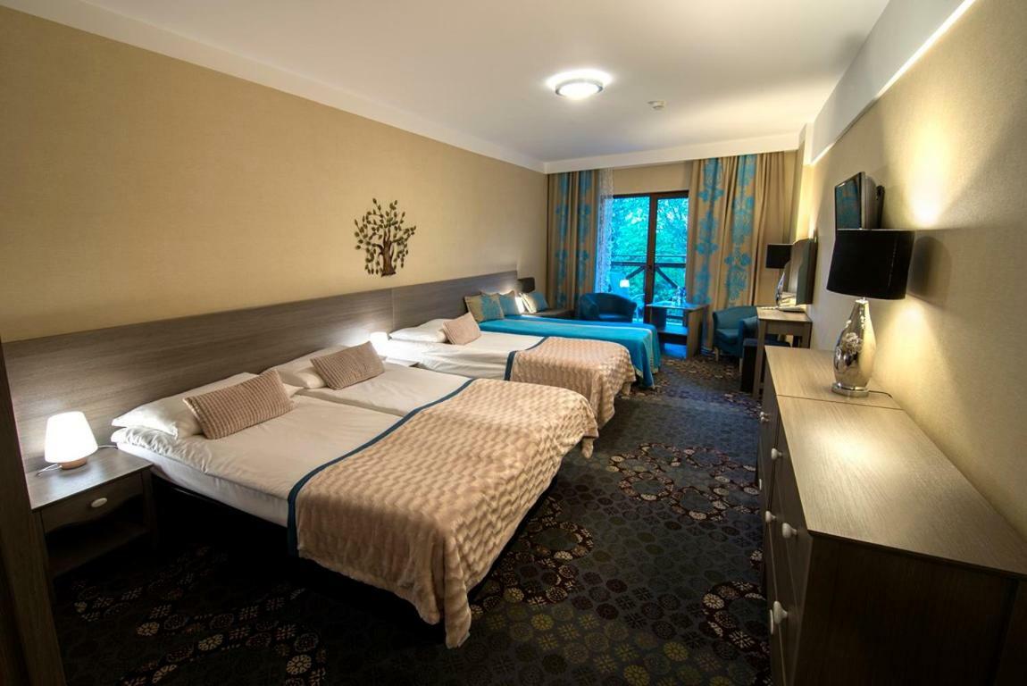 Europa - Gornicza Strzecha Hotell Szklarska Poręba